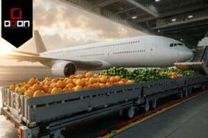 حمل هوایی بار فاسد شدنی